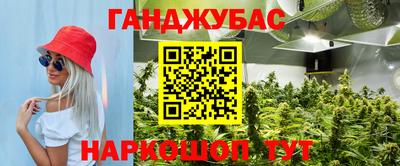 гидра Кимры