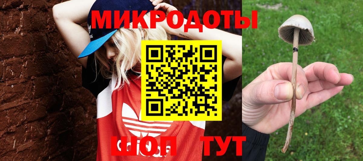 Хасавюрт  Галлюциногенные грибы Psilocybe  Галлюциногенные грибы прущие грибы  Вход с VPN 